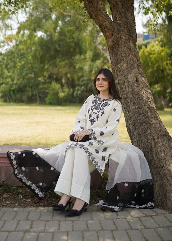 White Pakistani design suit set